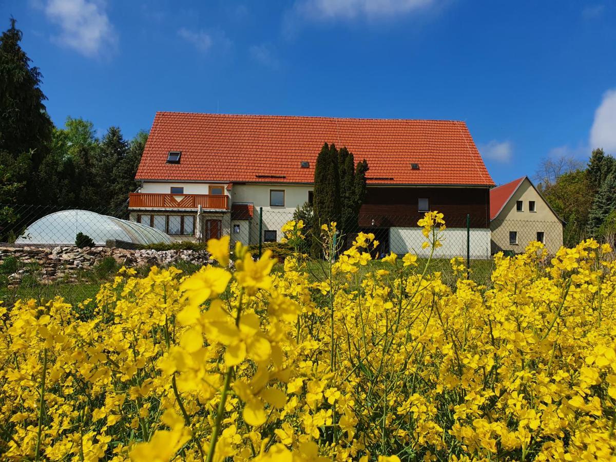 Alte Schaeferei Bad Gottleuba Exterior foto