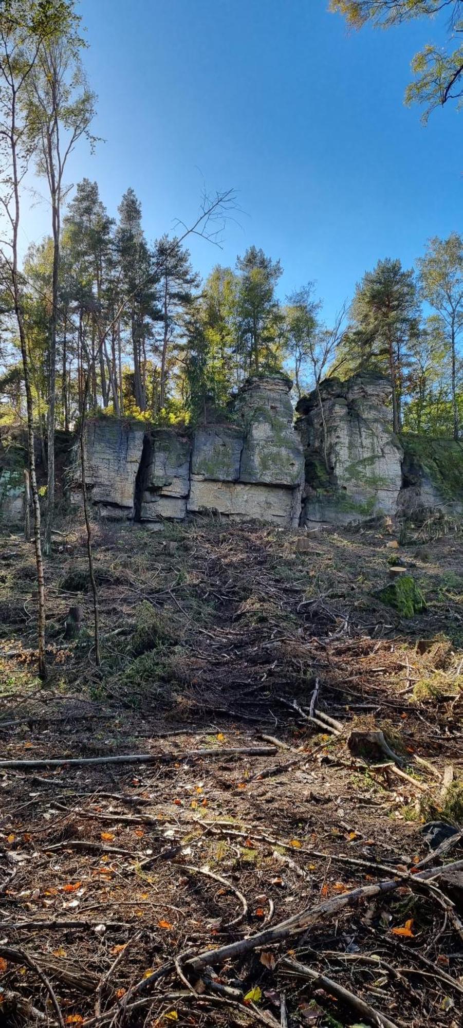 Alte Schaeferei Bad Gottleuba Exterior foto